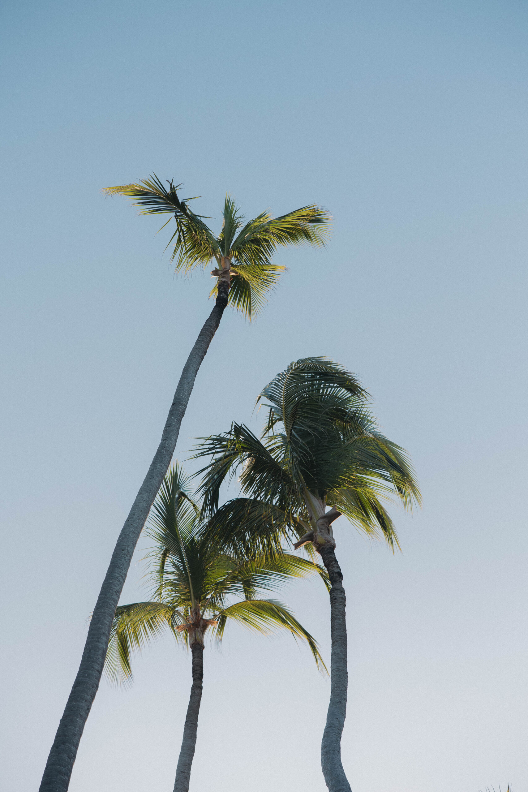 documentary style wedding photography captured by Keri L Photography 