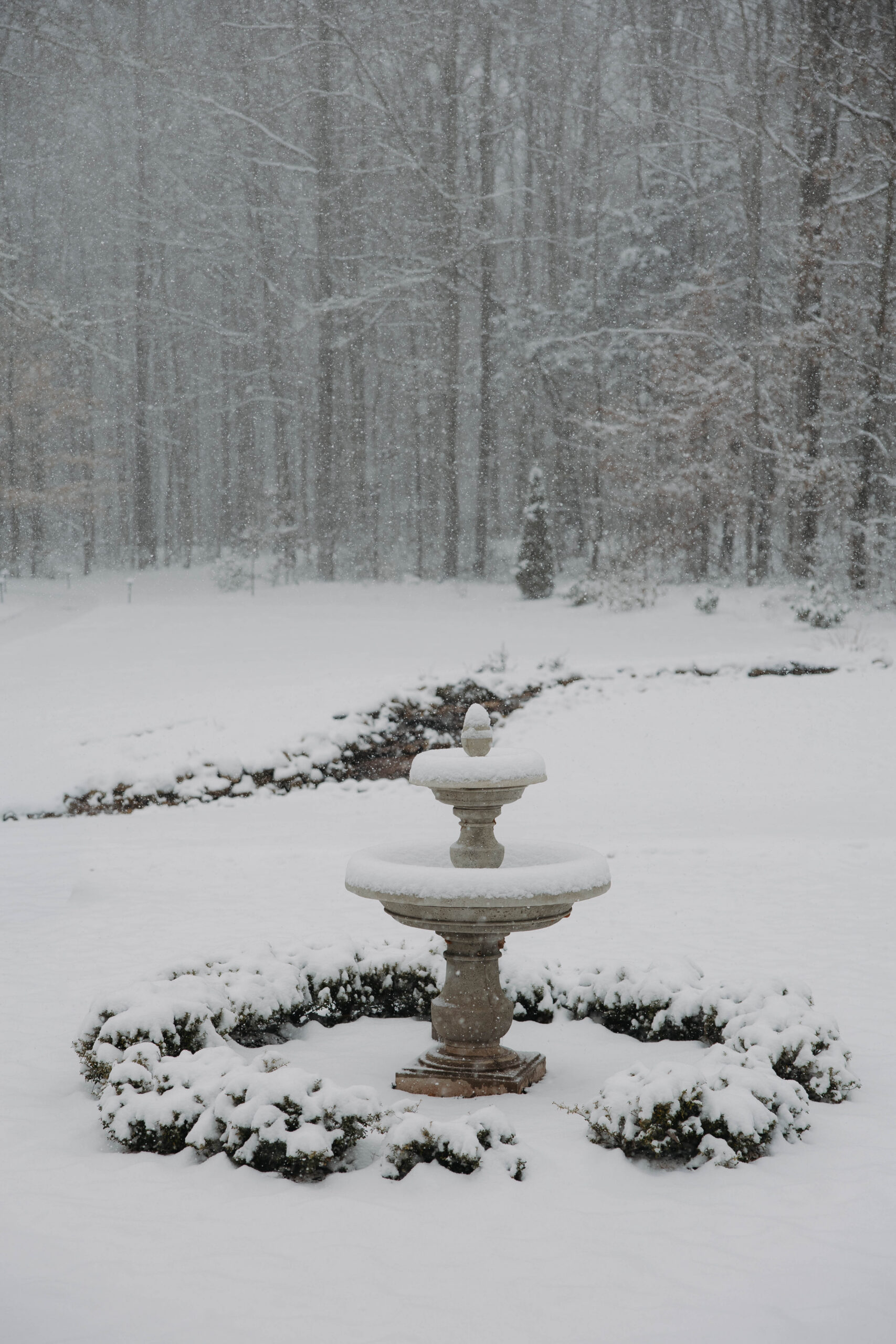 bird bath sits snow covered at the edge white fox cottage wedding venue