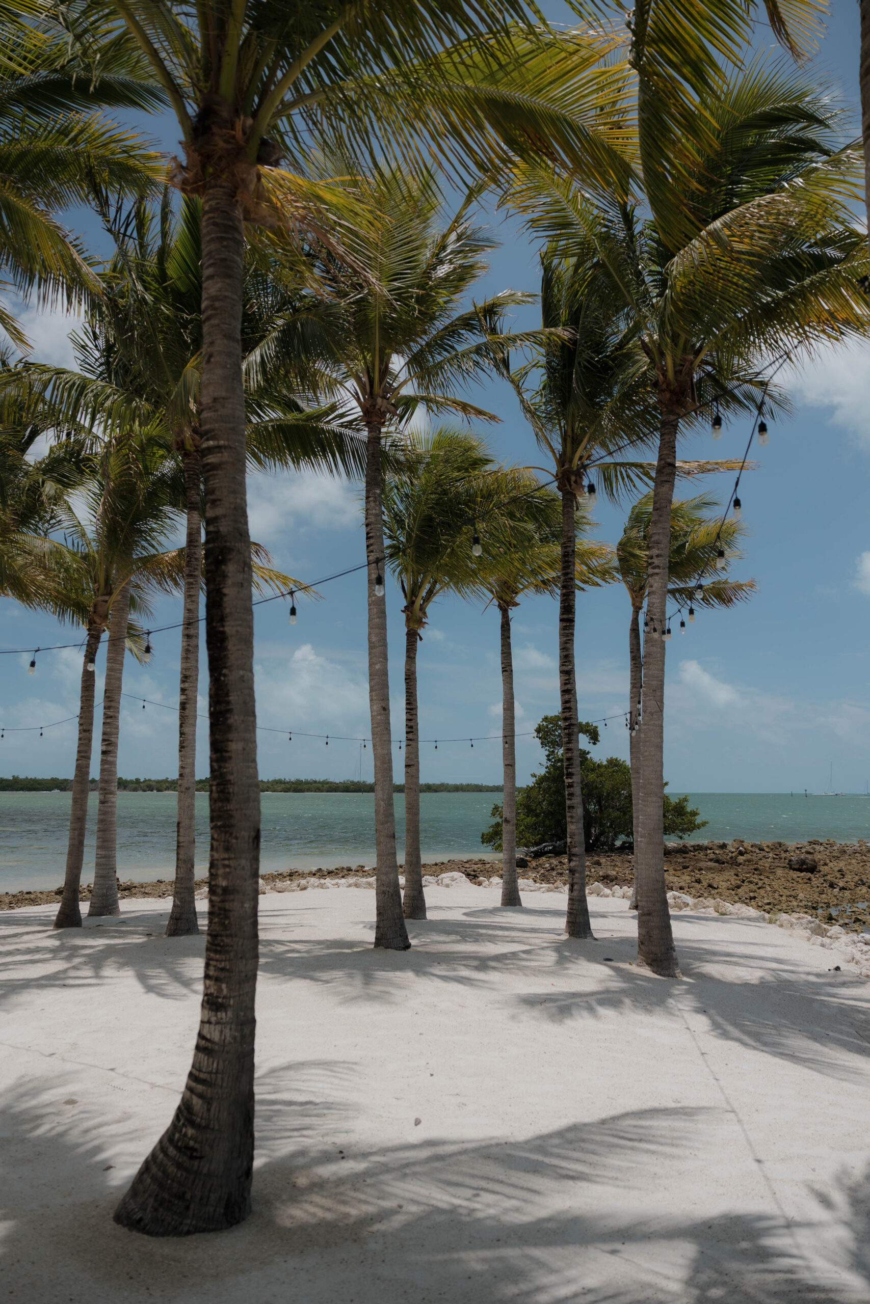 beautiful oceanfront wedding venue photos captured in Key West