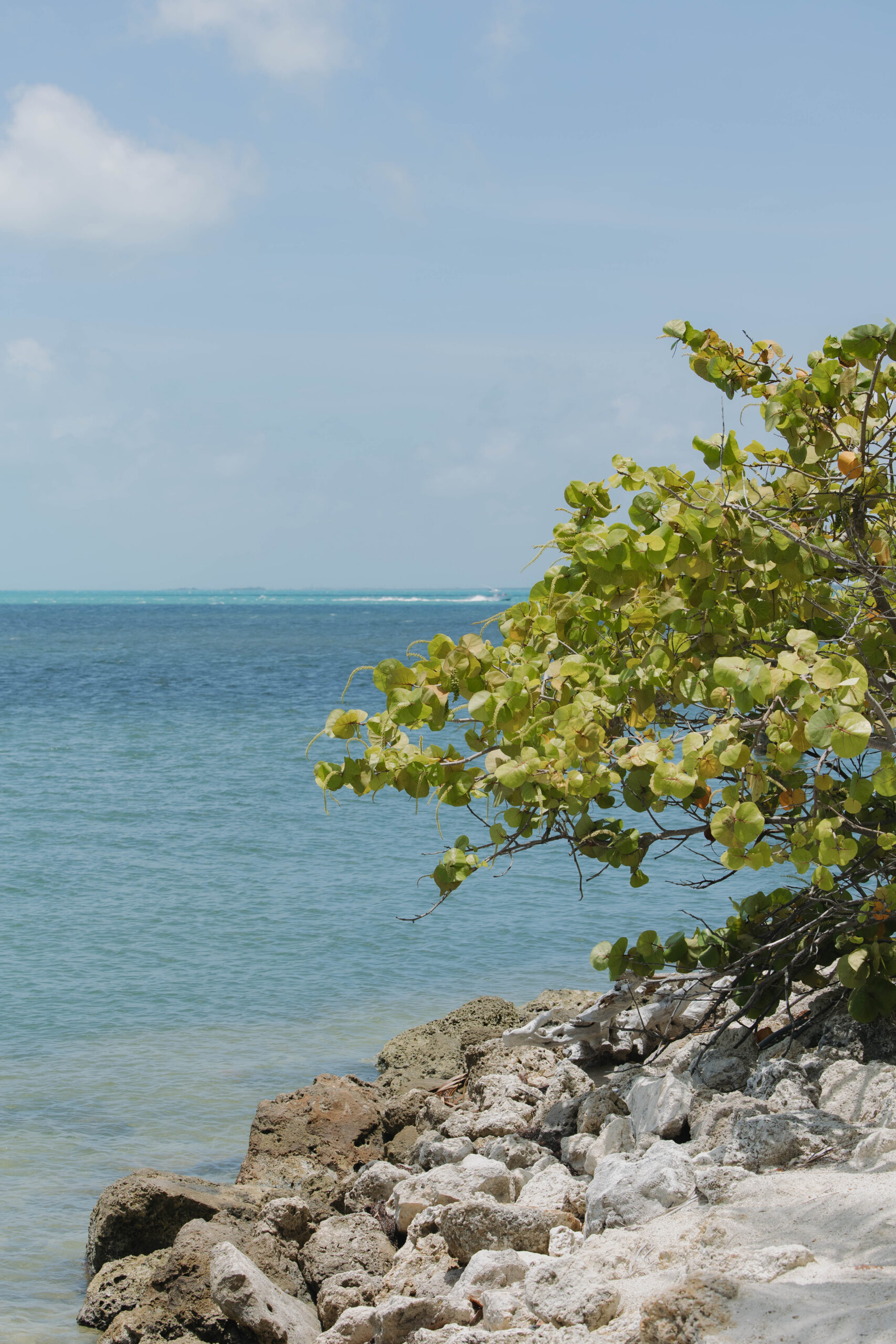 stunning view from a the Key West wedding venue