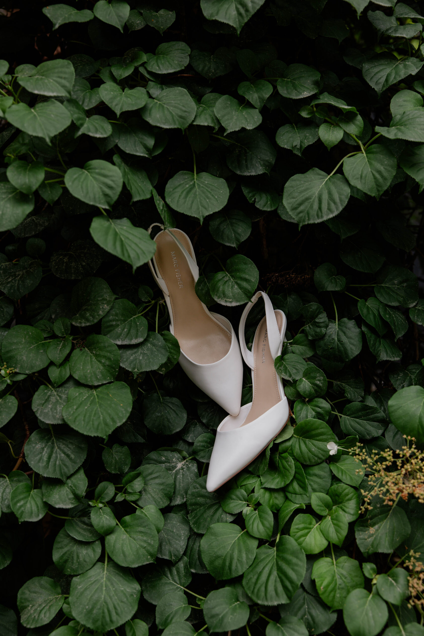 stunning grounds at the beautiful shiloh gardens wedding venue